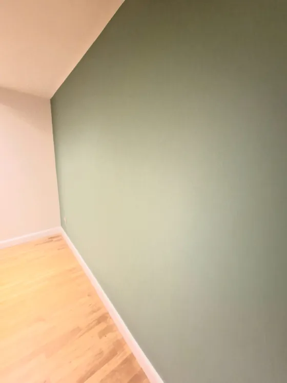 Sage green feature wall with an oak floor