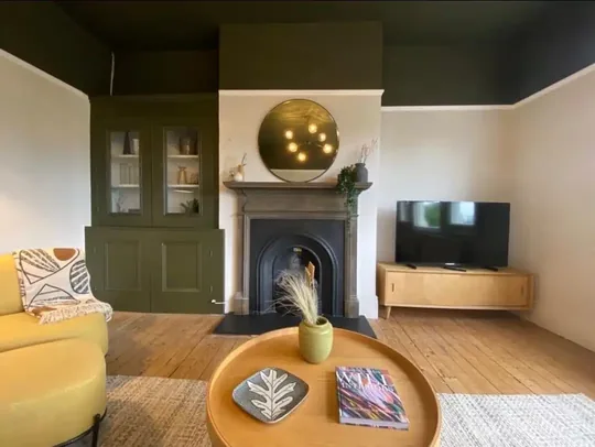 A lounge painted deep green with a black ceiling and a cast iron fireplace